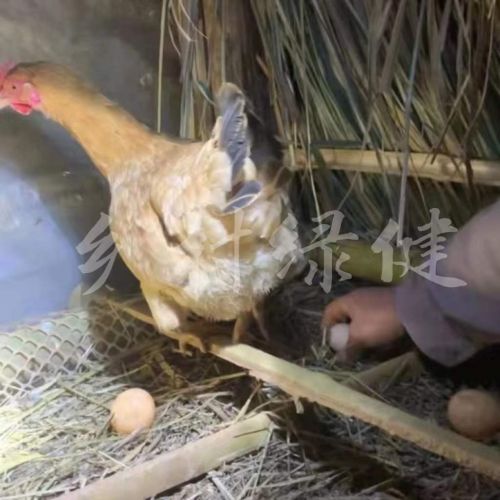 �|�����u�����l(f��)